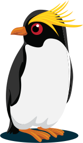 Rockhopper-penguin